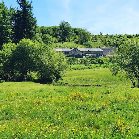 Ranch Du Haut-Languedoc La Salvetat-sur-Agout Dış mekan fotoğraf